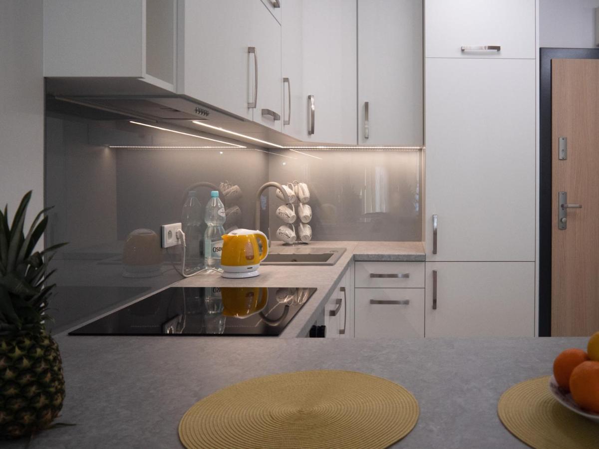 Przytulny Apartament Z Ogrodkiem Краков Экстерьер фото